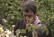 Fitzdares pays homage to Sir Henry Cecil in new ‘honour’ documentary series