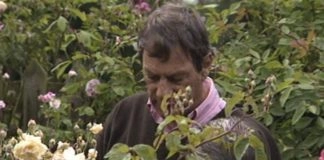 Fitzdares pays homage to Sir Henry Cecil in new ‘honour’ documentary series