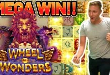 CasinoDaddy launches Wheel of Wonders via live stream