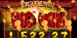 Genesis Gaming names their leading 2020 slots