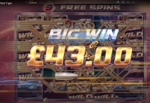 Red Tiger gives a ‘licence to spin’ with Agent Royale