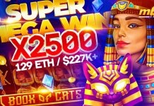 BGaming’s Book of Cats pays player $225k in crypto