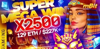 BGaming’s Book of Cats pays player $225k in crypto