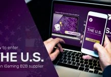 Internet Vikings’ webinar showcases keys to US market success