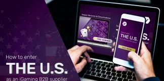 Internet Vikings’ webinar showcases keys to US market success