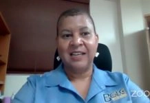 Understanding BGLC due diligence ‘critical’ to obtaining a Jamaica gaming licence