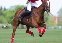 ‘One day a woman will cross the line’ at the Grand National – Katie Walsh