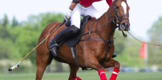 ‘One day a woman will cross the line’ at the Grand National – Katie Walsh