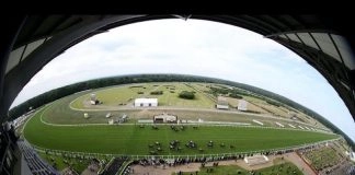 Star Sports Trader Chat: Reflecting on Royal Ascot as England’s EURO price continues to drift