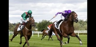 Star Sports Trader Chat: Raducanu and Ronaldo get the markets moving after dramatic weekend