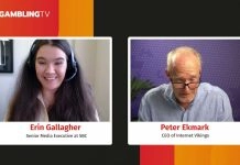 Internet Vikings: State-by-state strategy is key to US expansion