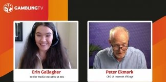 Internet Vikings: State-by-state strategy is key to US expansion