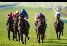 Star Sports Trader Chat: Reflecting on a busy period of racing