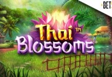 Thai Blossoms claims SlotBeats SOTW