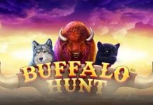 Synot Games – Buffalo Hunt
