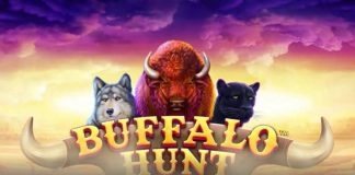 Synot Games – Buffalo Hunt