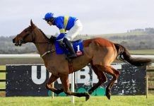 Star Sports Trader Chat: Attention shifts to Cheltenham and Pep’s City cruise towards title