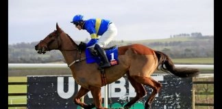 Star Sports Trader Chat: Attention shifts to Cheltenham and Pep’s City cruise towards title