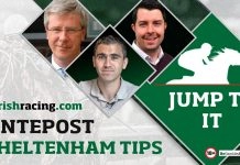 Cheltenham: Appreciate It ‘out of the woodwork’ ahead of Champion Hurdle