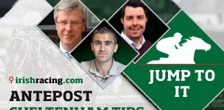 Cheltenham: Appreciate It ‘out of the woodwork’ ahead of Champion Hurdle