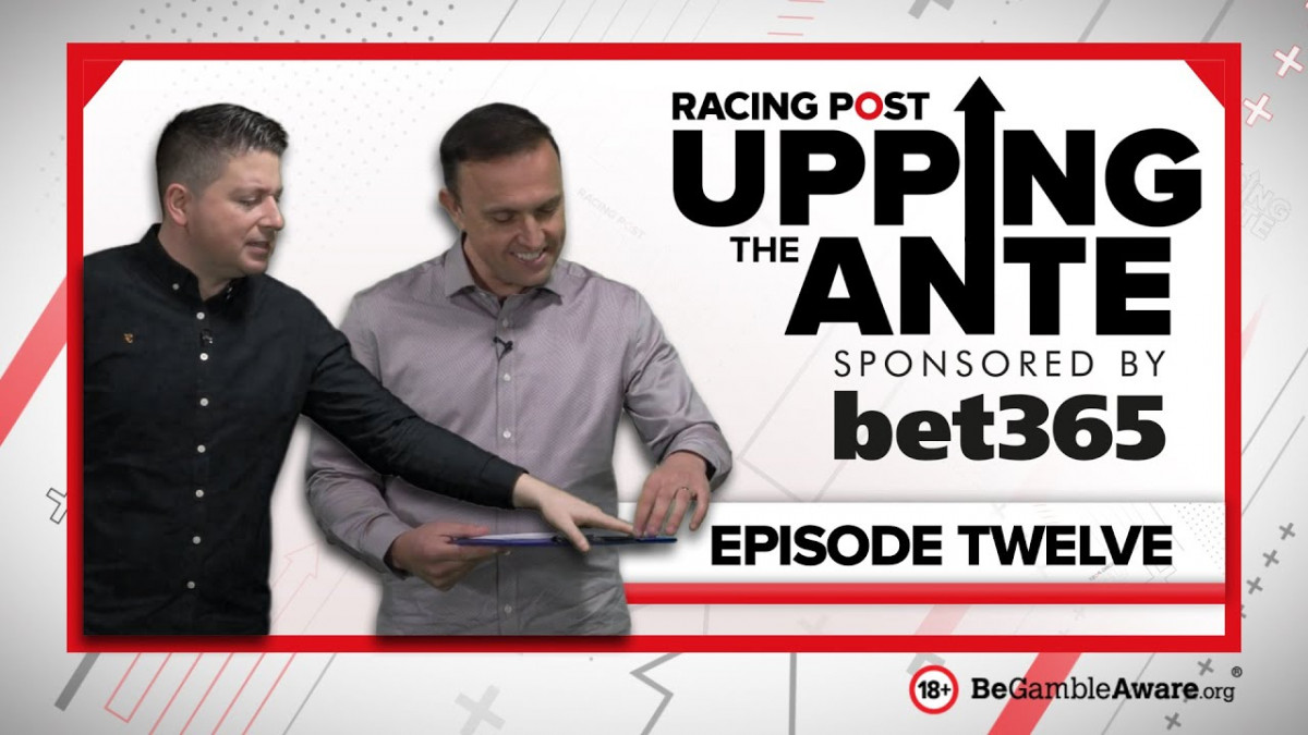 Upping the Ante Multiple options for punters in packed Stayers Hurdle