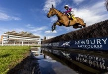 Star Sports Trader Chat: Super Bowl Sunday provides dramatic collision