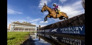 Star Sports Trader Chat: Super Bowl Sunday provides dramatic collision