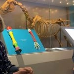 Star Sports: National Horseracing Museum offers visitors a ‘walk through time’