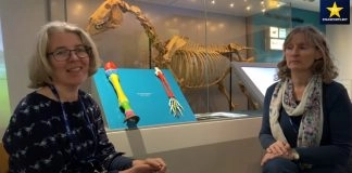 Star Sports: National Horseracing Museum offers visitors a ‘walk through time’