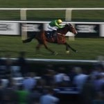 Star Sports Trader Chat – Preparing ready for the flat season