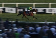 Star Sports Trader Chat – Preparing ready for the flat season