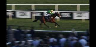 Star Sports Trader Chat – Preparing ready for the flat season